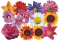 Preview: Flower Set 008