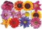 Preview: Flower Set 008