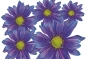Preview: Flower Set 05-Mini-36 Stück