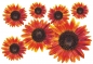 Preview: Flower Set 12-Mini-36 Stück