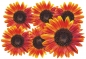 Preview: Flower Set 12-Mini-36 Stück