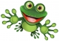 Preview: Funny Frog 01
