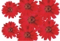 Preview: Flower Set 002