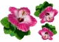 Preview: Flower Set 015