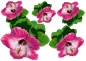 Preview: Flower Set 015