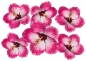 Preview: Flower Set 14-Mini-37 Stück