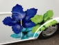 Preview: Hibiscus Flower Set 017