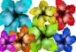 Preview: Hibiscus Flower Set 017