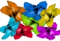 Preview: Hibiscus Flower Set 018