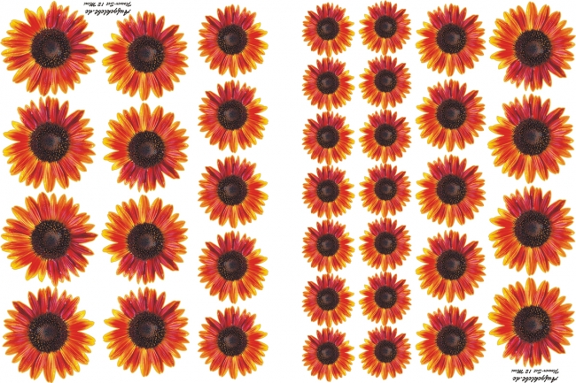 Flower Set 12-Mini-36 Stück
