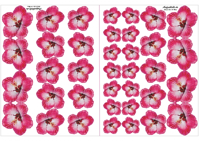 Flower Set 14-Mini-37 Stück