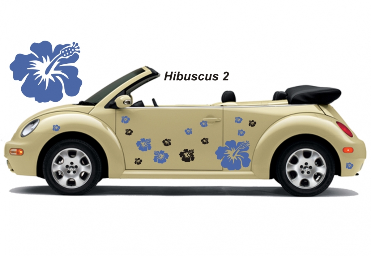 Hibiscus Flower Set 002