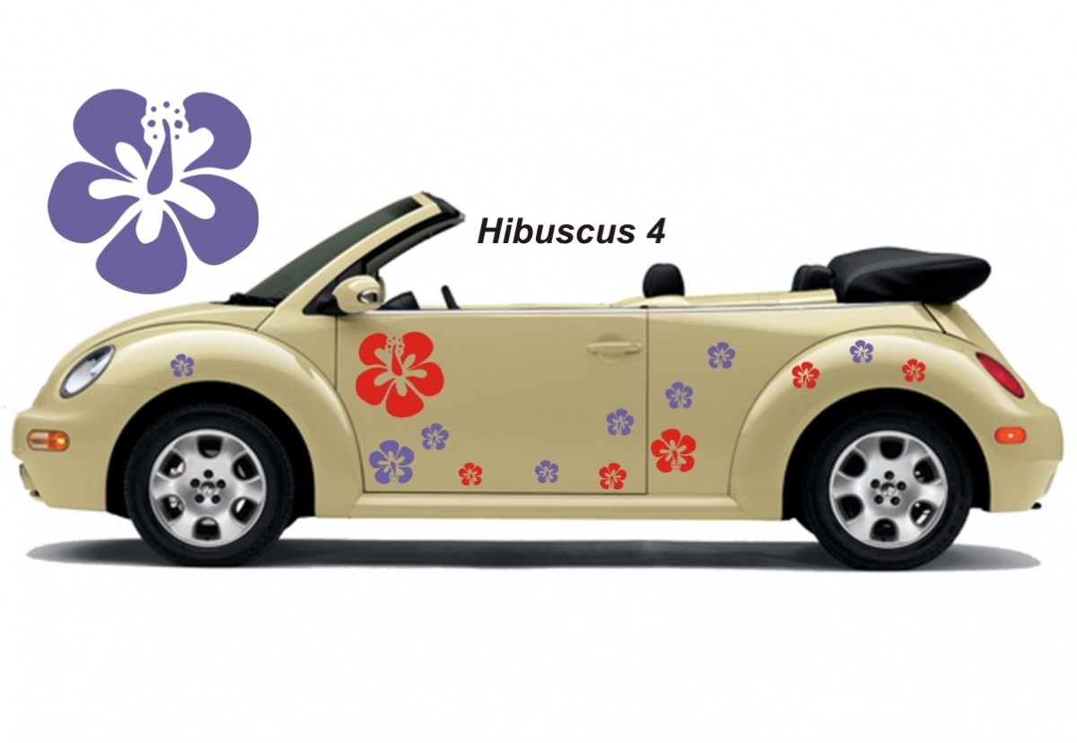 Hibiscus Flower Set 004