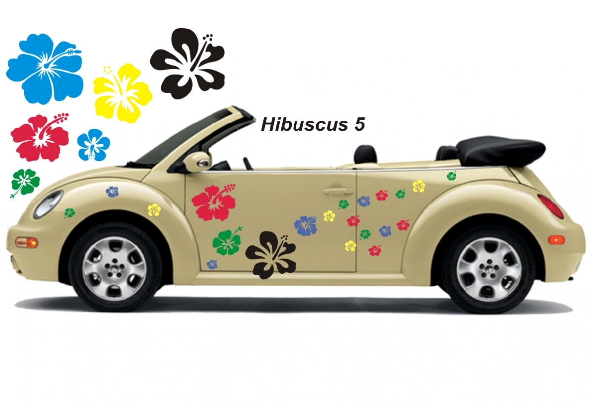 Hibiscus Flower Set 005