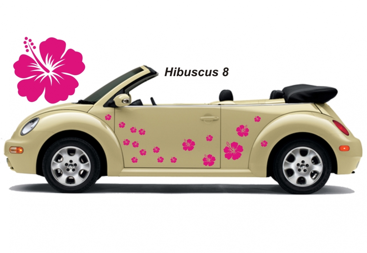 Hibiscus Flower Set 008