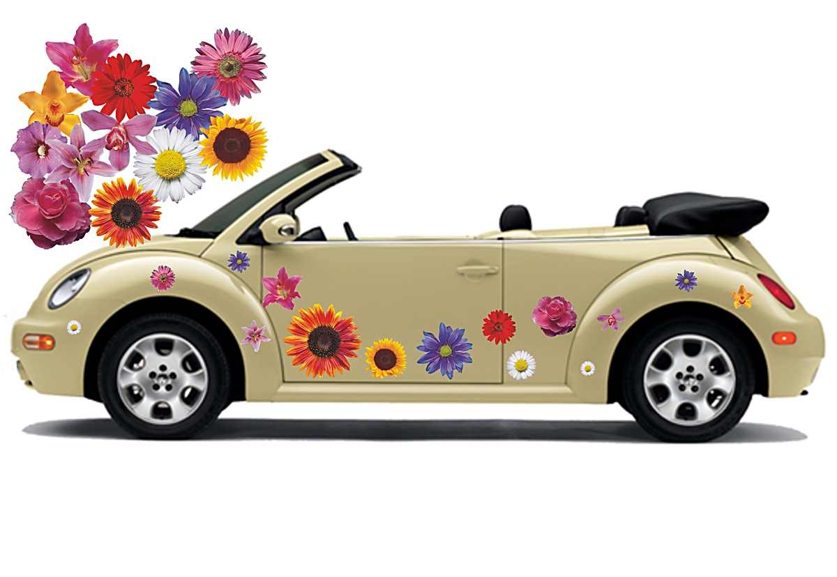Flower Set 008