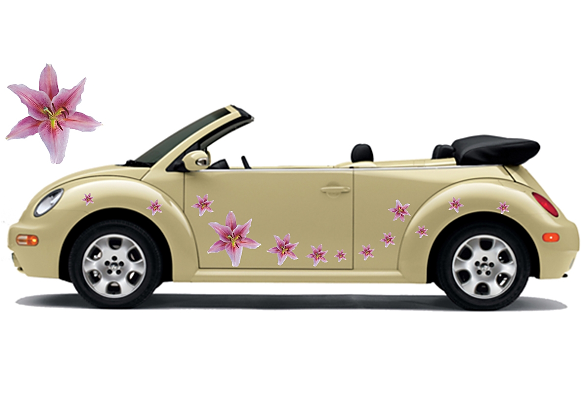 Flower Set 011