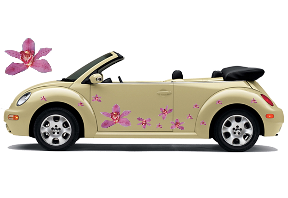 Flower Set 013
