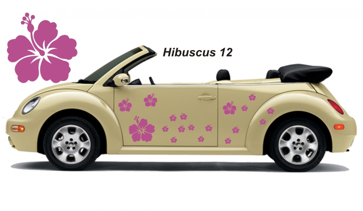 Hibiscus Flower Set 012
