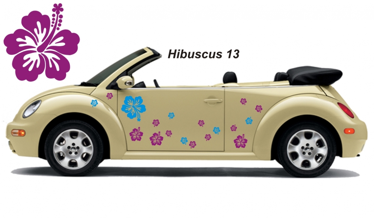 Hibiscus Flower Set 013