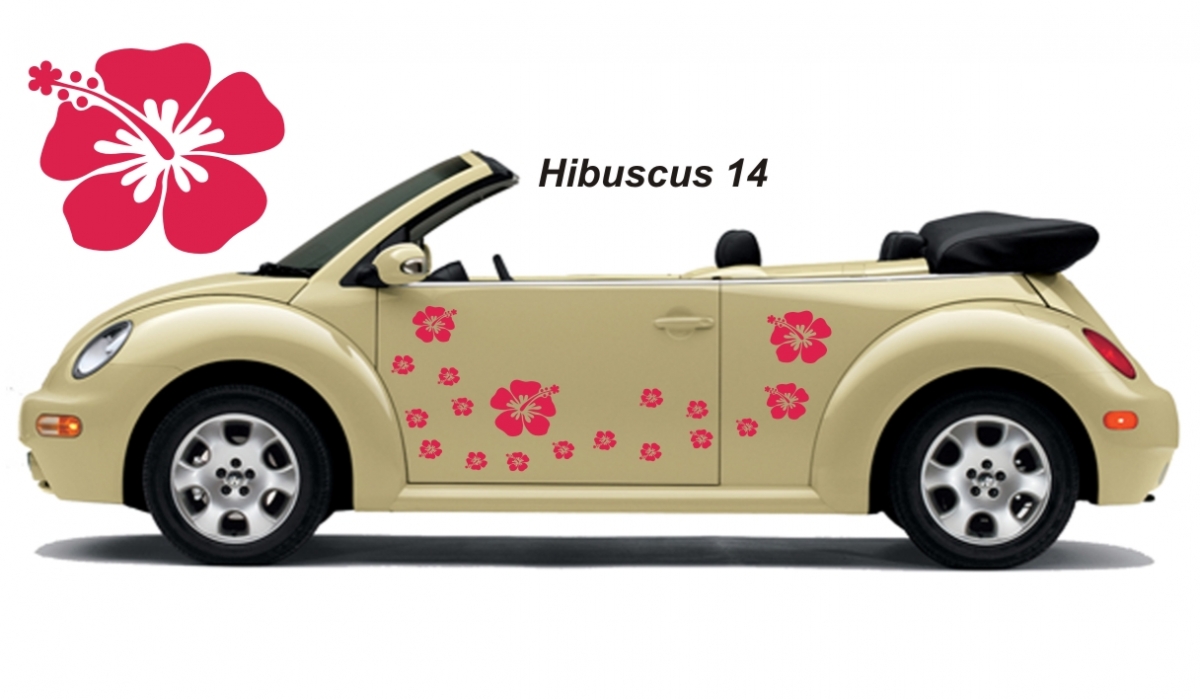Hibiscus Flower Set 014
