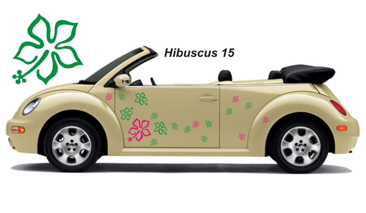 Hibiscus Flower Set 015