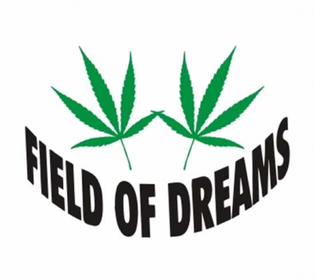 Dreams