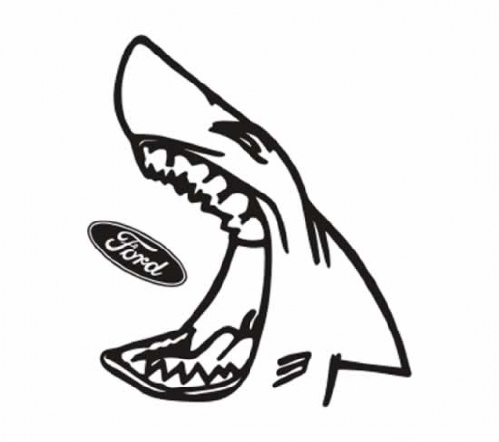 Sharky