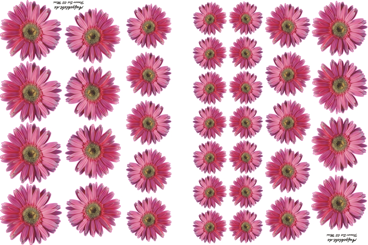 Flower Set 03-Mini-36 Stück