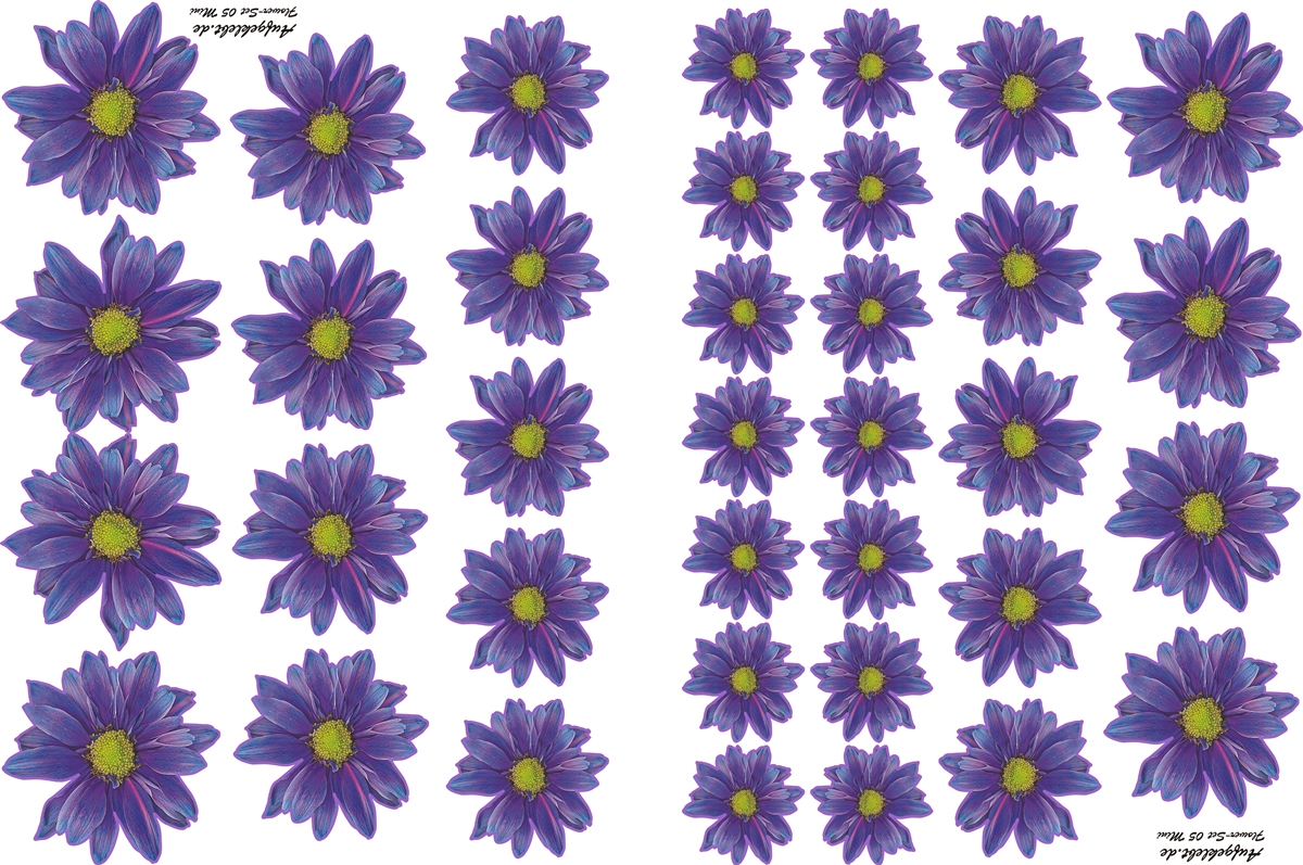 Flower Set 05-Mini-36 Stück