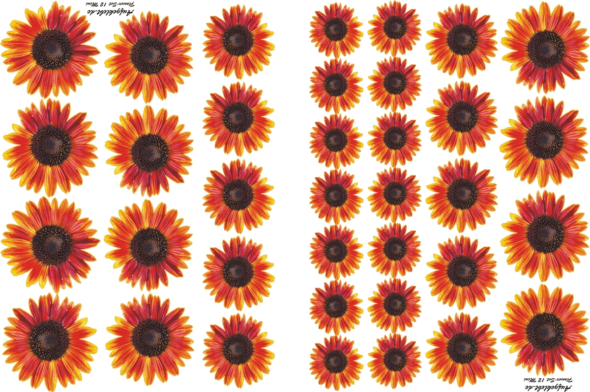 Flower Set 12-Mini-36 Stück