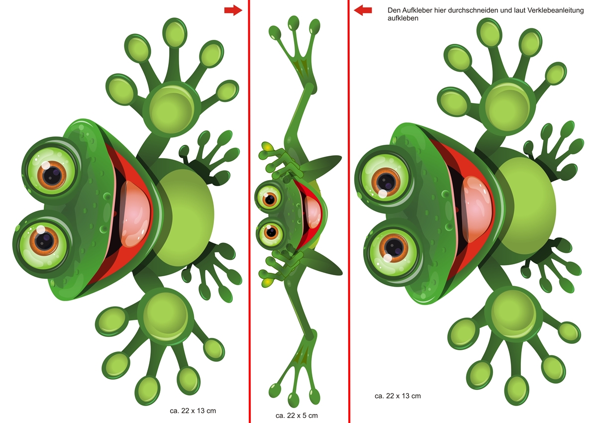 Funny Frog Set