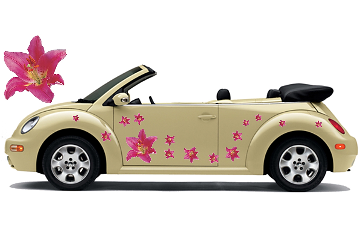 Flower Set 001
