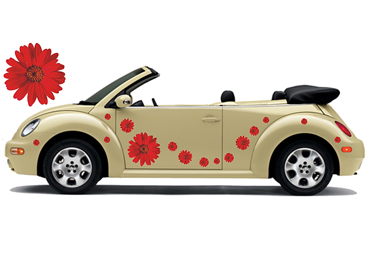Flower Set 002