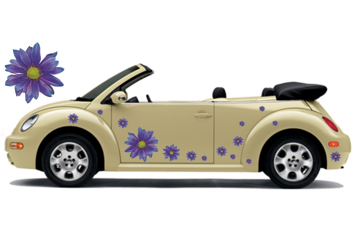 Flower Set 005