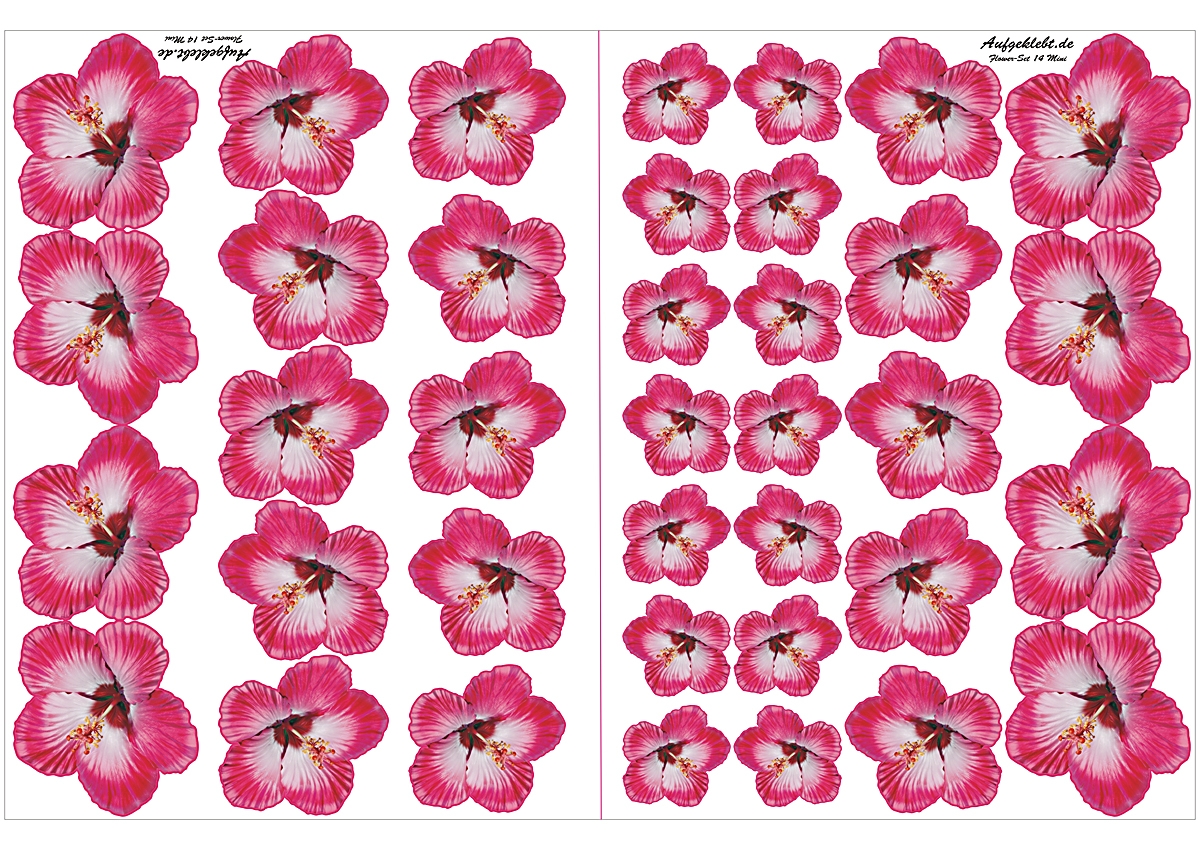 Flower Set 14-Mini-37 Stück