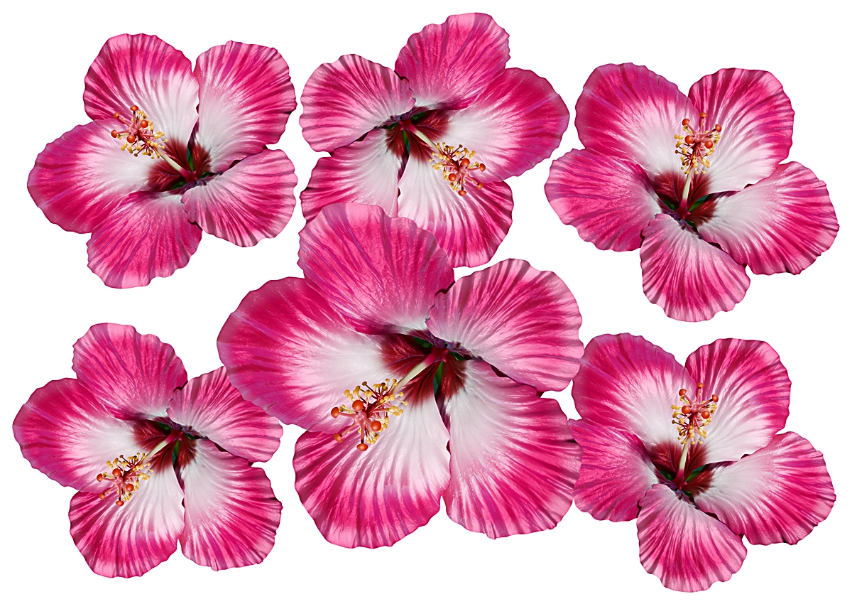Flower Set 14-Mini-37 Stück
