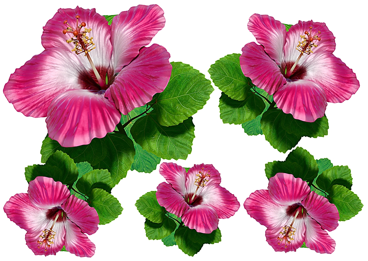 Flower Set 15-Mini-22 Stück