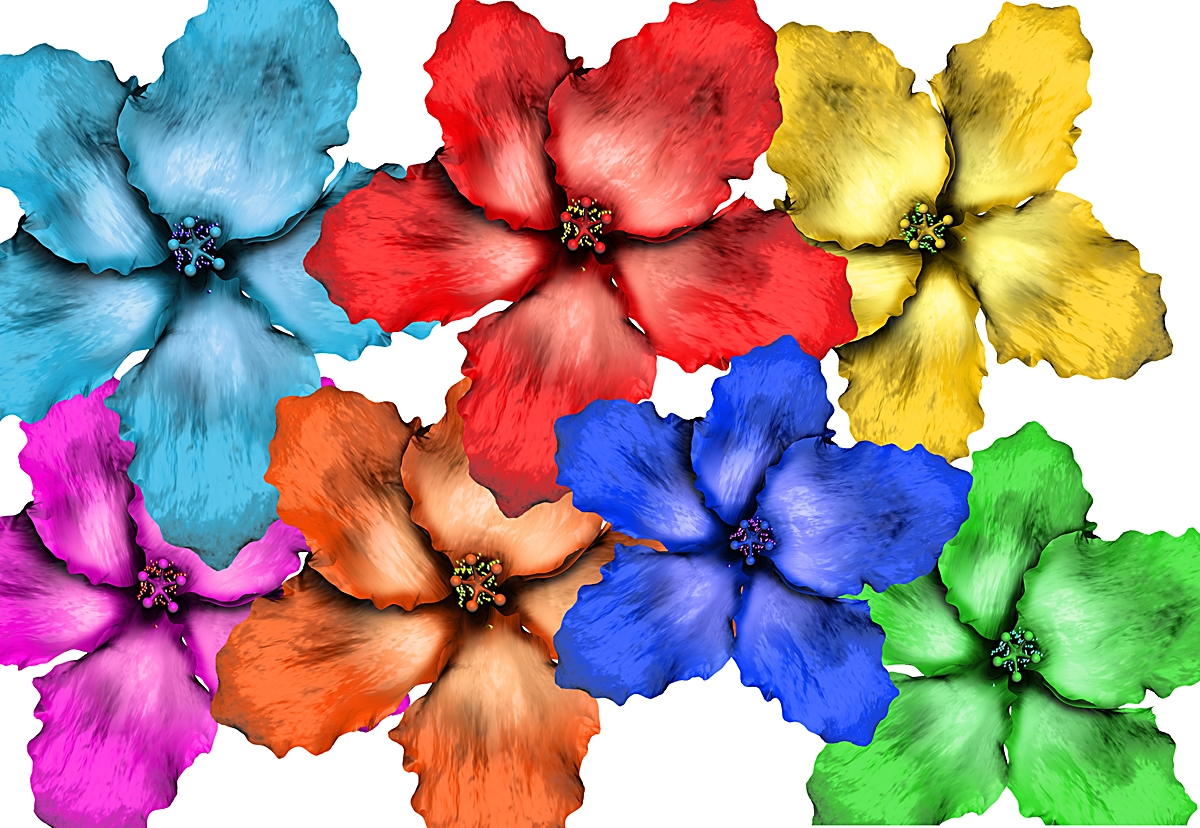 Hibiscus Flower Set 016